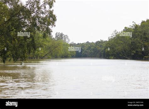 Sundarbans National Park Is A Large Coastal Mangrove Forest Shared By