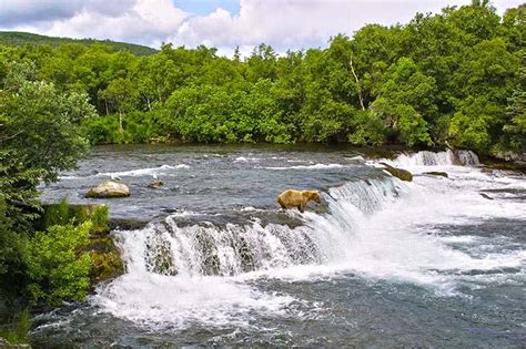 Katmai National Park and Preserve | Natureflip