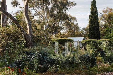 The Healing Garden At Heide Museum Of Modern Art LOOP Design Awards