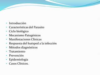 INTRODUCCIÓN PARASITOLOGÍA CLÍNICA CLASE 1 pptx