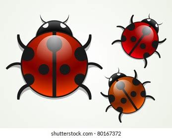 Realistic Hand Drawn Vintage Vector Ladybugs Stock Vector Royalty Free