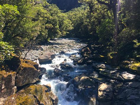 The best Fiordland National Park hiking trails - We12Travel