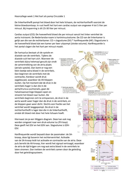 Hoorcollege Week Circulatie Hoorcollege Week Het Hart Als Pomp