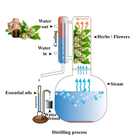 Essential Oil Distillation Machine