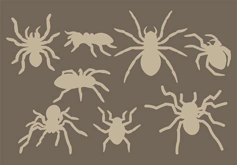 Free Tarantula Icons Vector 124044 Vector Art At Vecteezy