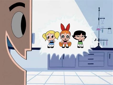 Oops I Did It Again Powerpuff Girls Wiki Fandom