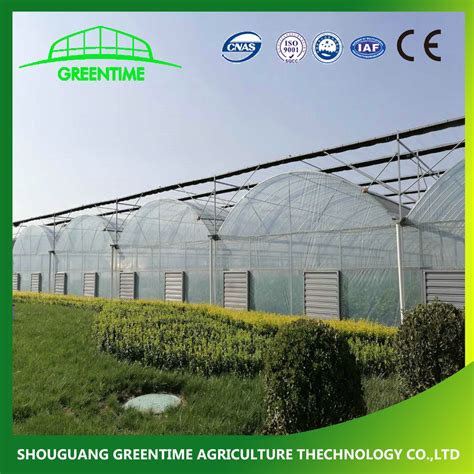 Multi Span PE Po Film Polycarbonate PC Sheet Tunnel Agricultural