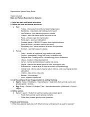 Second Semester Final Study Guide Pdf Reproductive System Study Guide