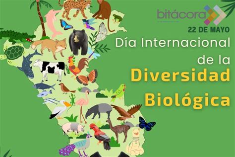 Día De La Diversidad Biológica Relevancia Y Descubrimientos Recientes En Perú Bitácora Revista