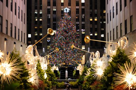 El Famoso Rbol De Navidad Del Rockefeller Center Ya Est Camino A