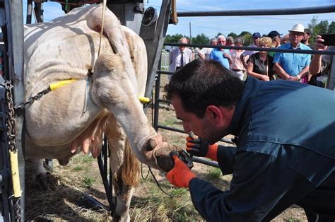 Pays Fl Chois Pas De Comice Agricole En Le Mans Maville