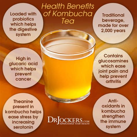 Ways Kombucha Improves Your Health Drjockers