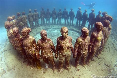 Moliniere Bay Diving At The Underwater Sculpture Park Grenada