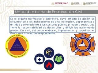 12 Programa Interno De Protecci N Civil Pdf