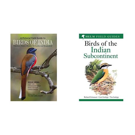 Buy Birds Of India Birds Of The Indian Subcontinent India Pakistan