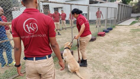 First all-female police dog handler team introduced - The Business Post