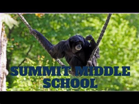 Summit March Mammal Madness Hype Video 2023 YouTube