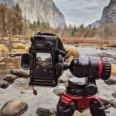 What is the best tripod head for wildlife photography? | ProMediaGear