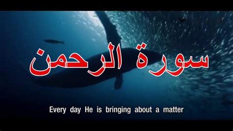 Surah Rahman Complete Surah Quran Video Youtube