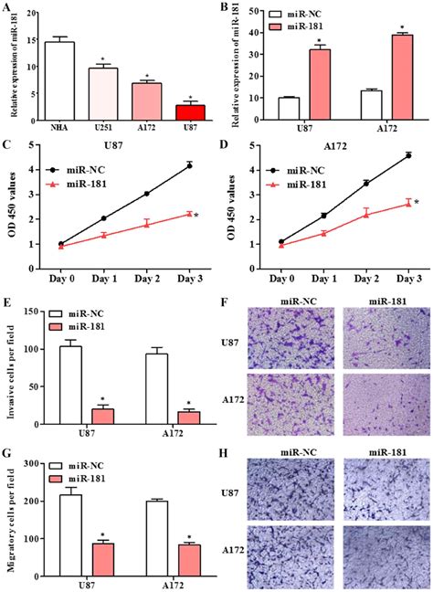 MicroRNA181 Inhibits Glioblastoma Cell Growth By Directly Targeting CCL8