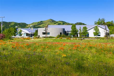 Lake Center Mendocino College