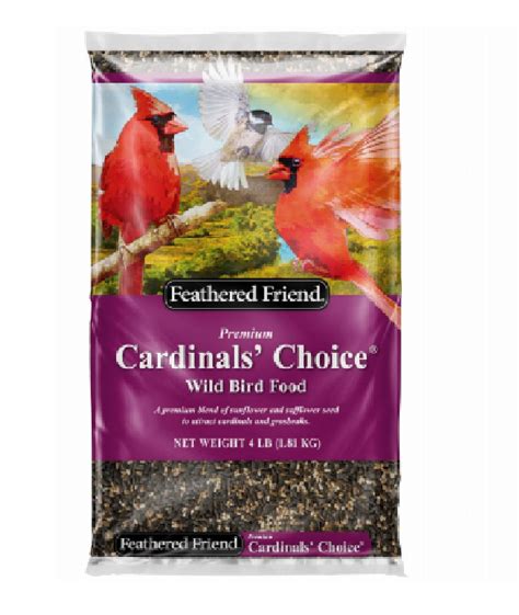 Budgie Pellets Vs Seeds: Which Is The Healthiest Choice For Your Feathered Friend? - My Simple Pets