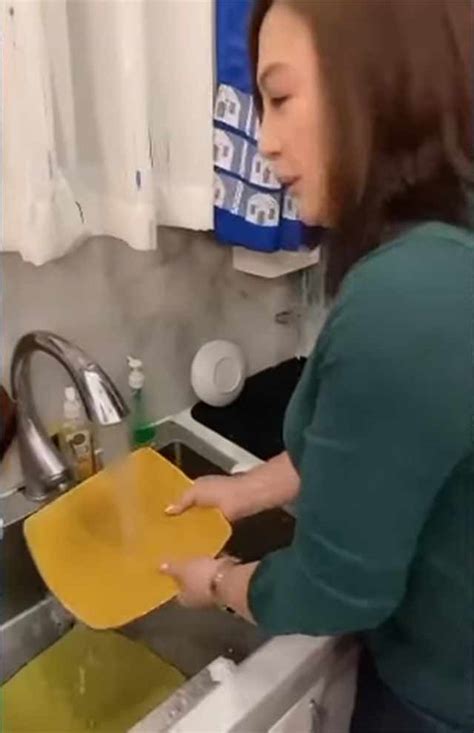 Sharon Cuneta Breaks Plate As Dishwasher On Probinsyano Set PEP Ph