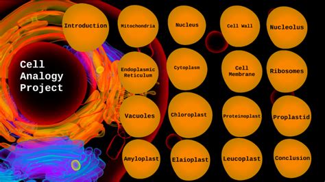 Cell Analogy Project By Brandon Ganev On Prezi