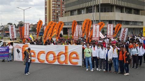 Fecode Anuncia Paro Nacional Este 12 De Junio ¿qué Actividades