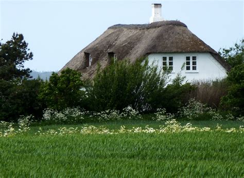 An Old Thatched Roof House With White Flowers In The Foreground