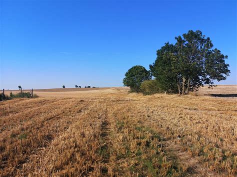 Na sprzedaż działka 5600m2 blisko Modry Las Golf Club jeziora lasy