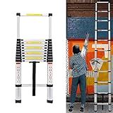 Best Compact Extension Ladders There S One Clear Winner