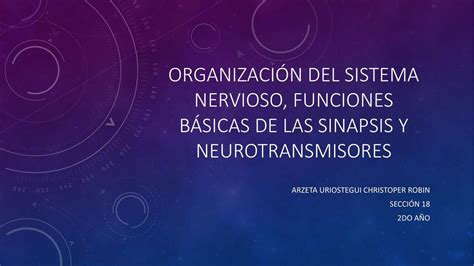 Organizaci N Del Sistema Nervioso Funciones B Sica Christoper Robin