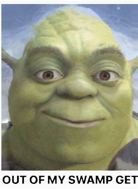 Pin By Pastel Punkk On Shrek Is Love Shrek Is Life In Shrek