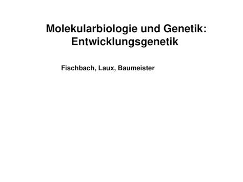 Ppt Molekularbiologie Und Genetik Entwicklungsgenetik Fischbach