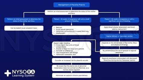 Placenta Praevia Nysora Nysora