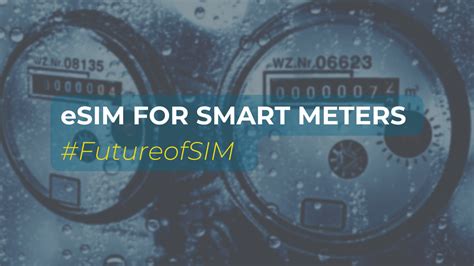 Iot For Smart Metering And Big Data With Esim For Secure Data