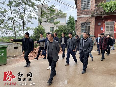 龙潭镇召开农村人居环境整治工作现场会乡镇资讯嘉禾网