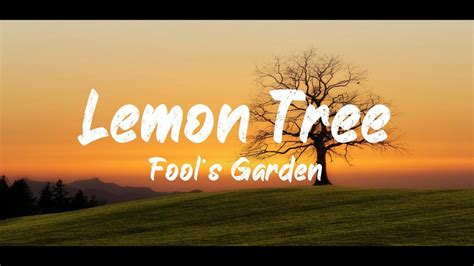 Fool S Garden Lemon Tree Lyrics Bugg Lyrics Youtube