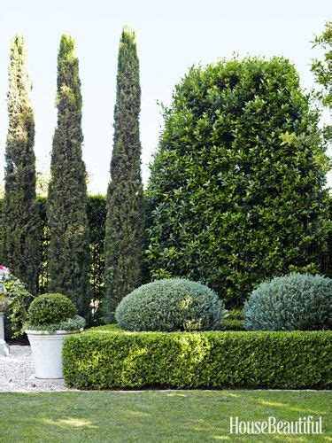 Hedge Fun – The Potted Boxwood