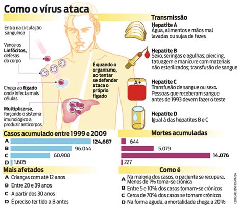 Doen As Infecciosas Hepatite B