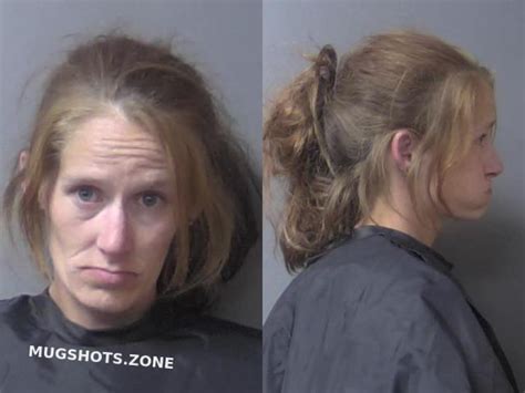 Dowler Christina Marie Madison County Mugshots Zone