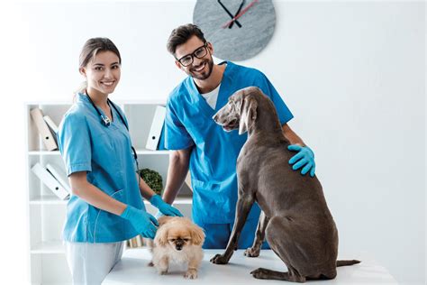 Formas De Ser Agradecido Con Tu Personal Im Veterinaria