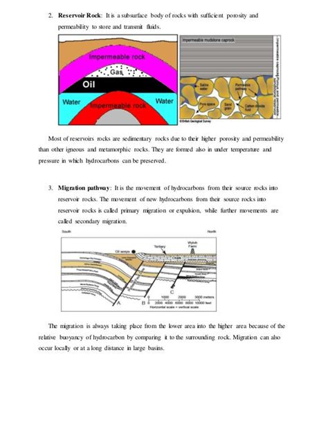 Petroleum system