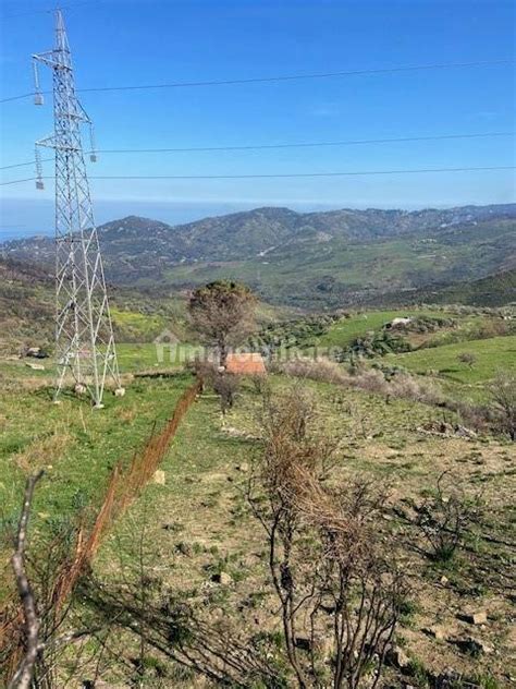 Terreno Agricolo Intercomunale Cefal Gratteri Gratteri Rif