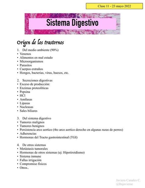 Patologia Sistema Digestivo C10 Javiera Canales UDocz