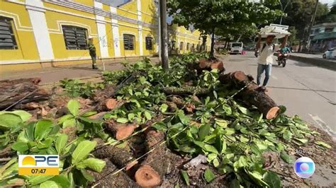 V Deo Queda De Rvore Deixa Moradores Sem Energia El Trica Na Zona