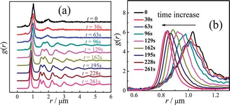 A Radial Distribution Function G R Of The D Crystal At Indicated