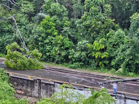 Forte temporal derruba árvore quebra poste e derruba rede elétrica na