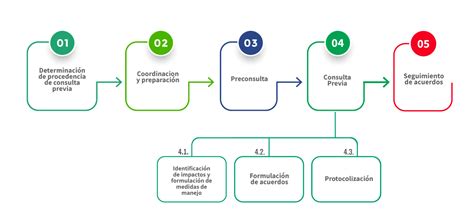 Consulta Previa